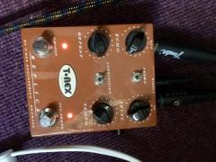 T REX Delay