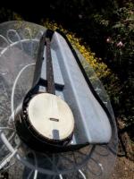 Vintage Banjo